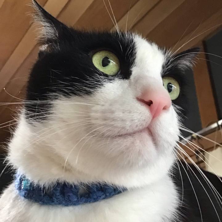 C51f5099 9e06 417f bb44 8111b7fb4fb9 1749811752943