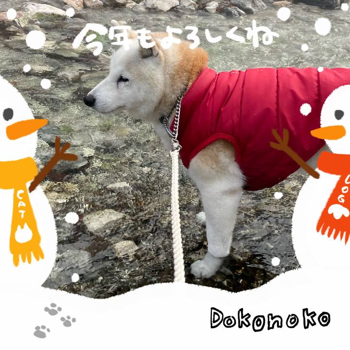 C51f5761 cc5f 41e6 9413 1ba2b56e86ea 1704080429624