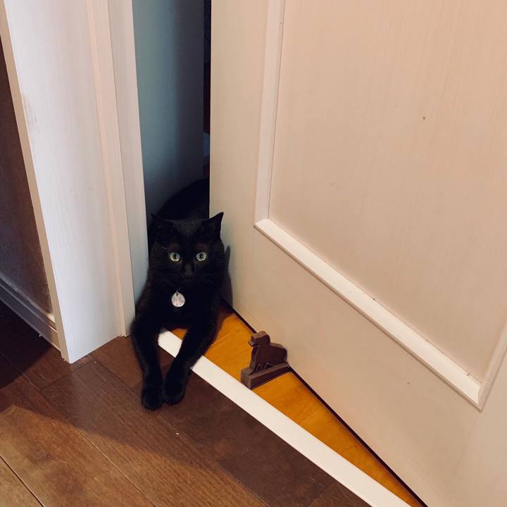 C51f950c 2cf3 429e 80fb 0e7811a00cd8 1598368726265