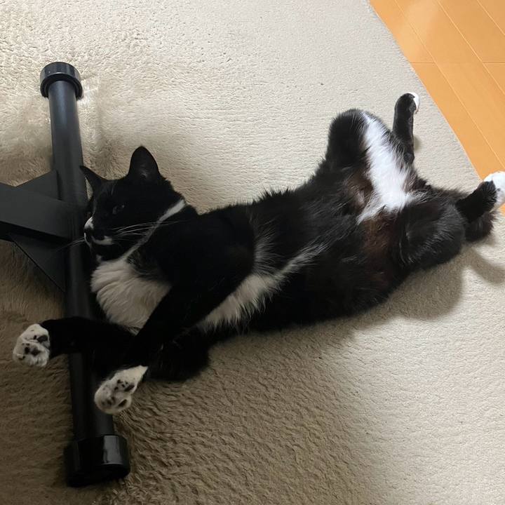 C51fade2 c35c 4900 9810 893c153651b3 1715830060423