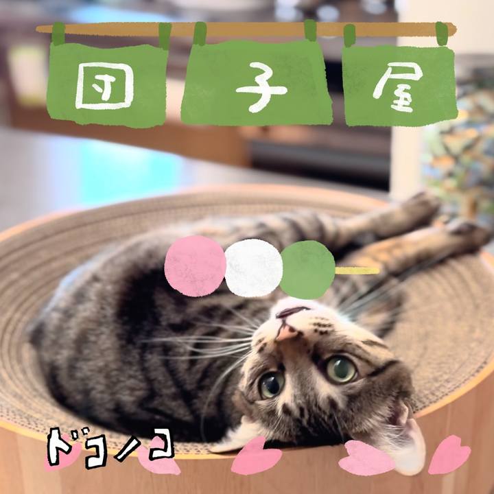 C51fc1bf f87f 4d6b 82b6 b952e708008c 1712748732398