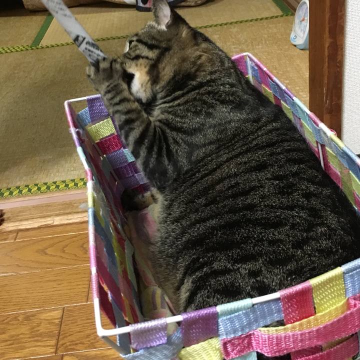 C51fdf13 2cb1 4f2b 9ce4 1b3f66d1a947 1507978084657