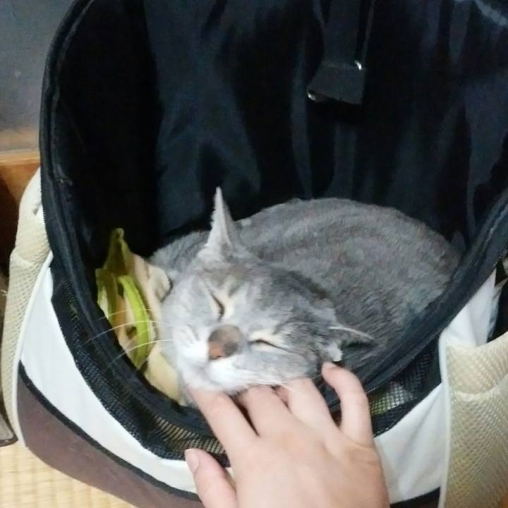 C51ff938 0675 4b55 a524 02882117b9fc 1589106103086