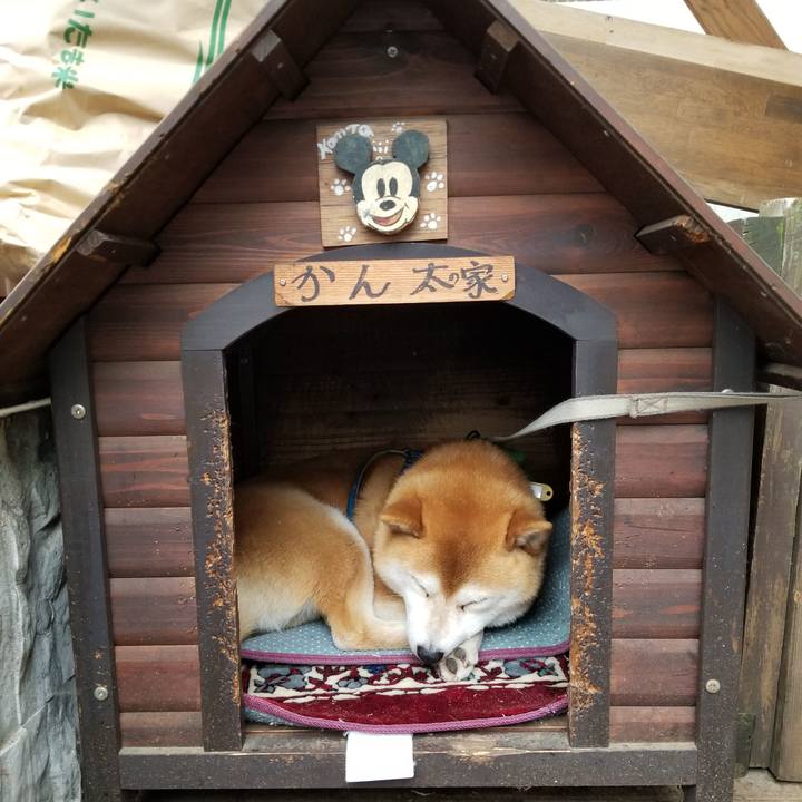 C52028c1 5edd 4090 aff0 aeda82e1896b 1557822756801