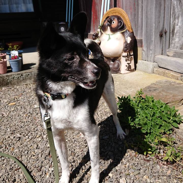 C52042af 76ad 42c4 a883 19e76e2fc4c0 1583729493129