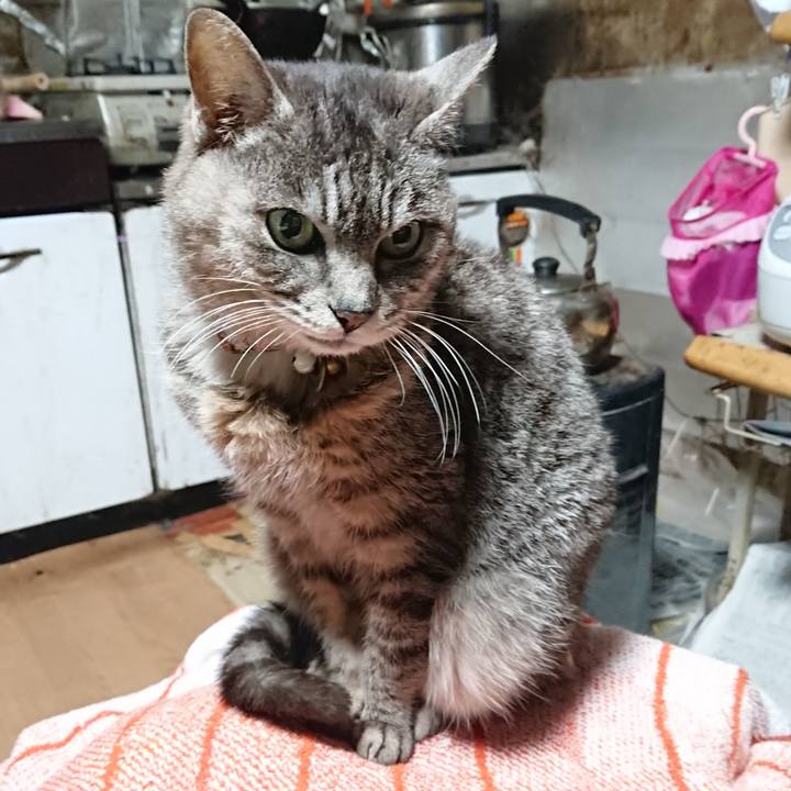 C5204ebd c4fc 457b be81 6b478def5abf 1584390951483