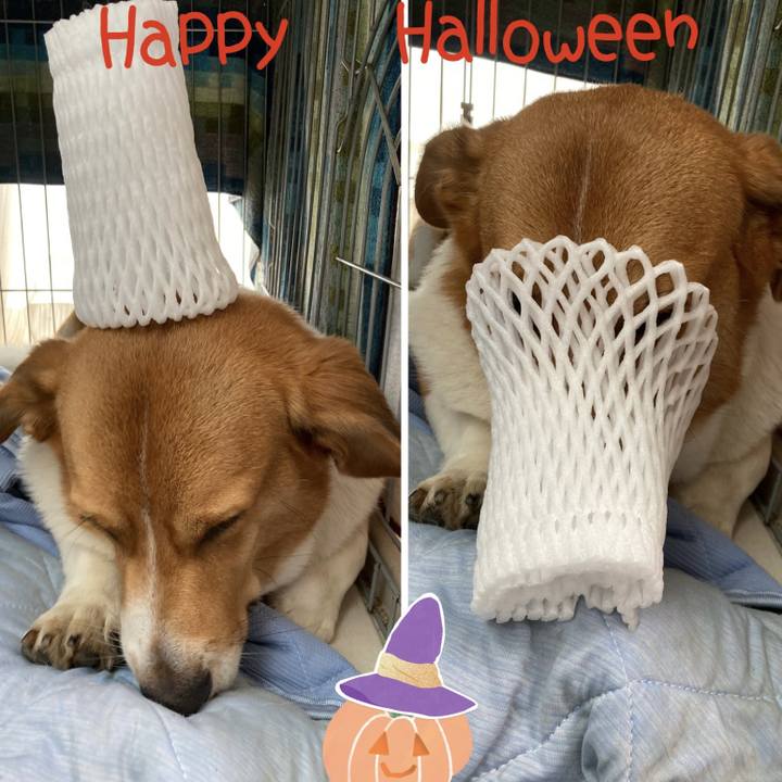 C5205f0b 5d9d 490a 9e9a 67cbd9d7c040 1698463563746