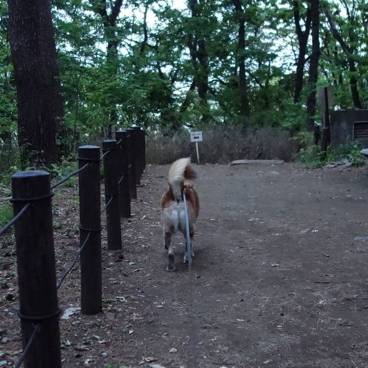 C520a0f4 f003 4153 a83b e54eae70ff04 1557399270506