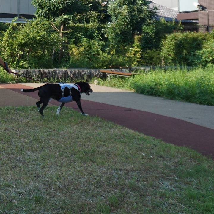 C520d078 dd57 42f3 820a b80cd51a57f7 1755646761125