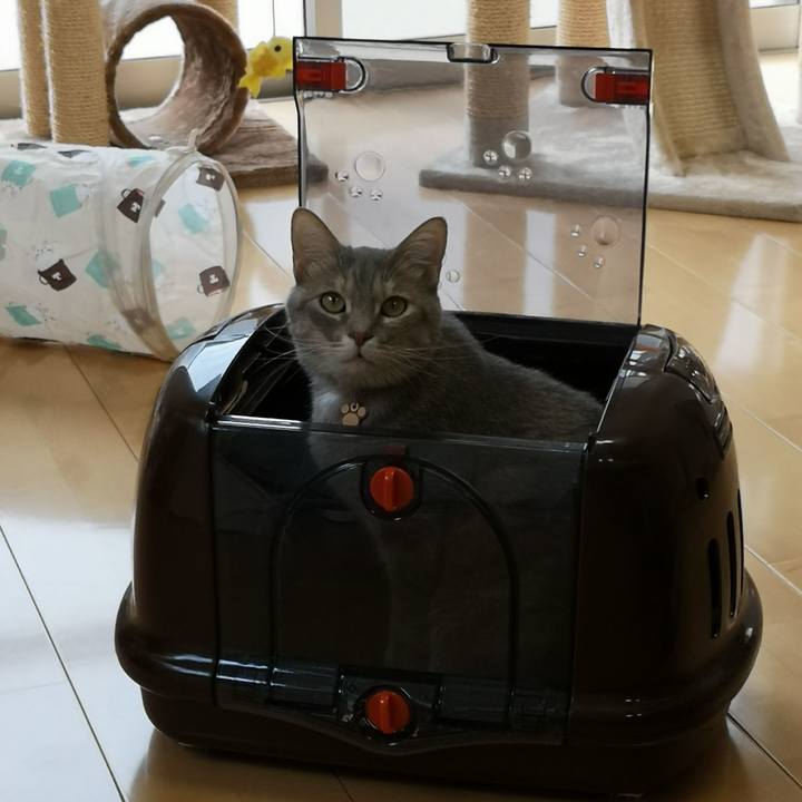 C520e960 c0b0 442a bd09 036f9a0055e5 1557301308546