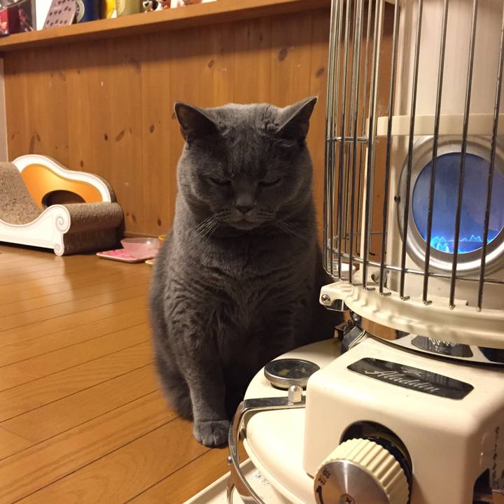 C520fb80 577e 4668 ad4c fde79210bd64 1512636242976