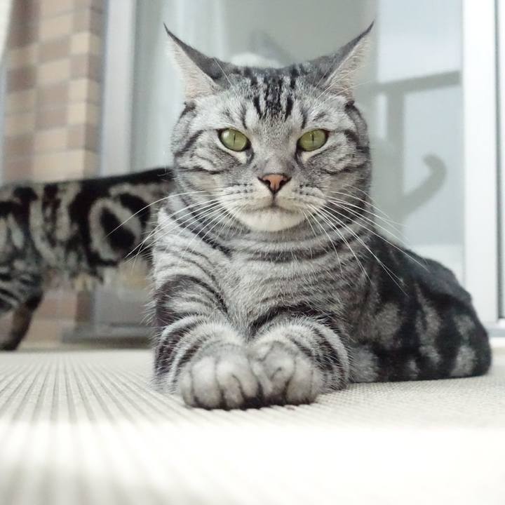 C5212506 4fb7 476c 9cac cf1cae52f365 1567660955034