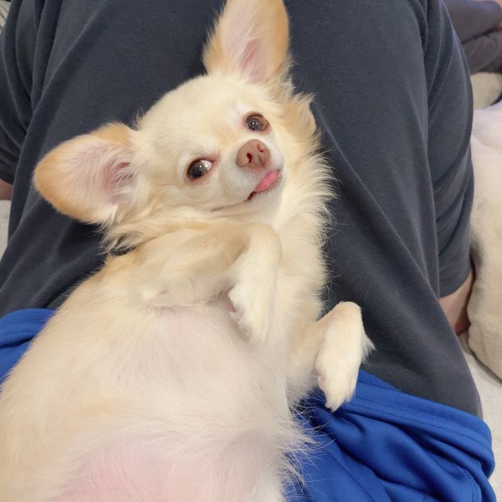 C5213dd2 d432 4947 a62a af91f4b9bc0d 1730708428416