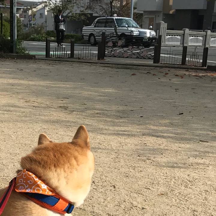 C5215ea0 6399 4b81 9fdb 0c0dacddcba2 1510142021799