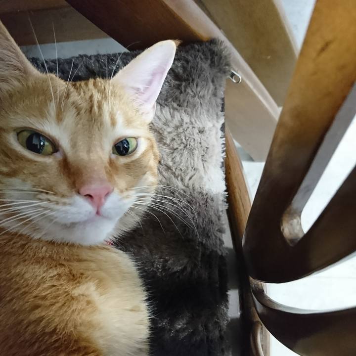 C5219d51 8100 4556 a3ab 0f96c4bab8f6 1510147110695