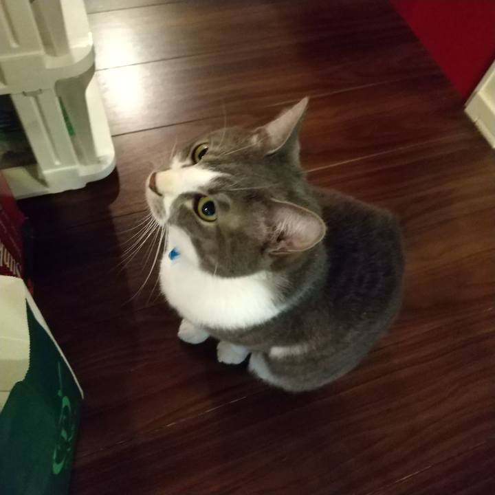 C5219f2d 2346 4a74 b92a 0ec790ffeadc 1614549157984