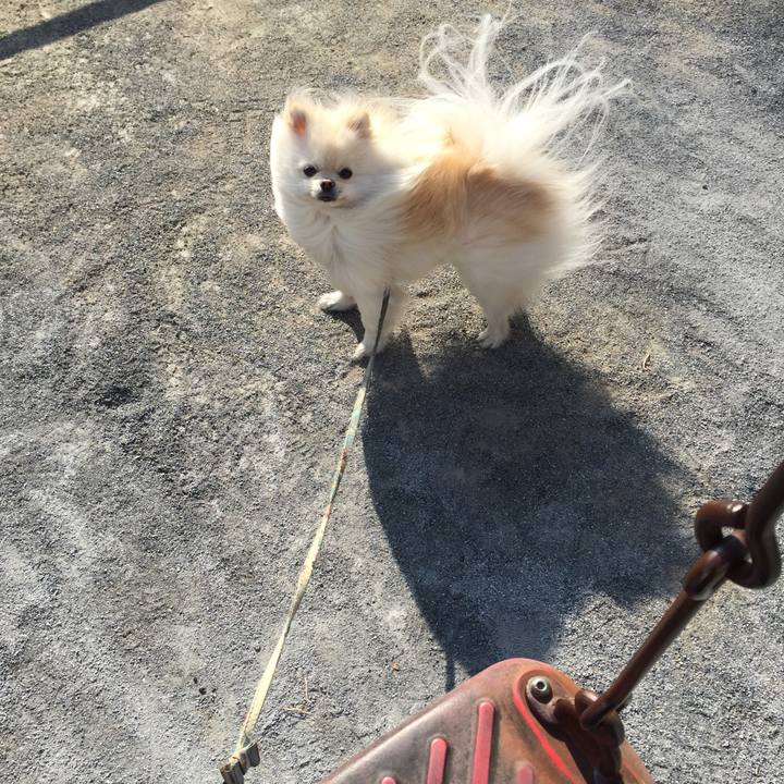 C521b237 21cb 489d bc3e 51c1b8f389d5 1519626548476