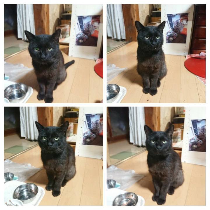 C521d5f3 ff14 4c0d 9f41 621bd1ba247a 1624793022637