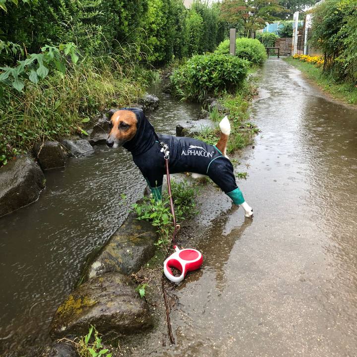 C521e144 273d 4195 bee2 4709f1798229 1530830223611