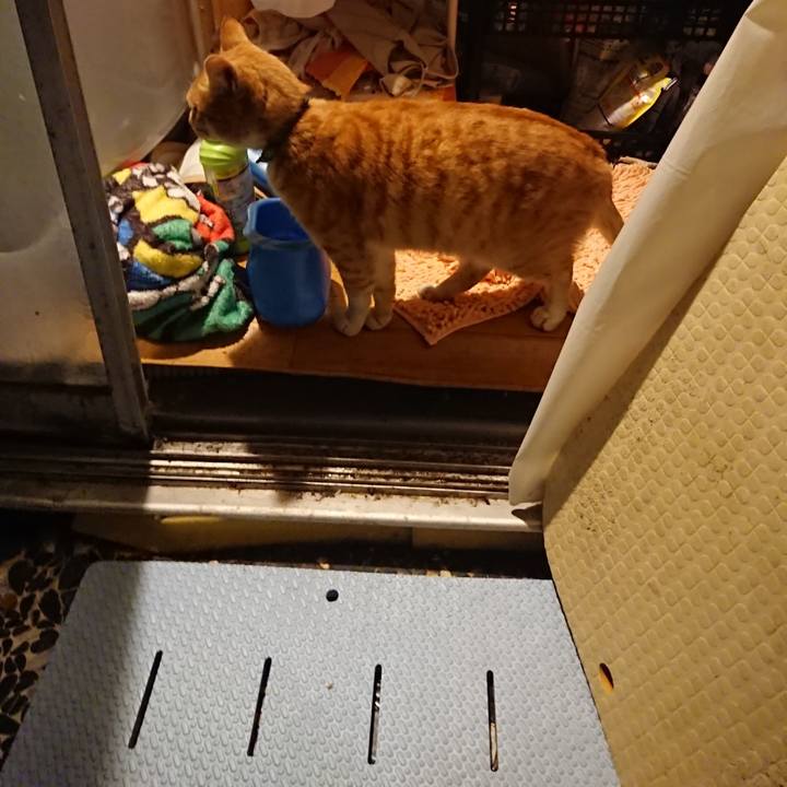 C521e298 5f2b 4a76 a3be 9e6465b34cfa 1584956799582