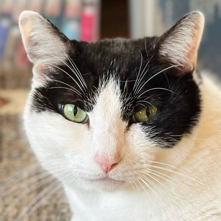 C521e4f8 a24d 4bae b4e1 7f2648da60e8 1712627576990