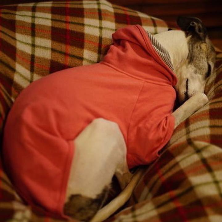 C521e5c4 1a79 4a1d bbf5 f1518e38346e 1524474585165