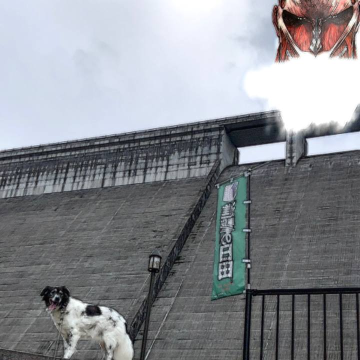 C521e933 5cac 4c63 9151 22cb382ee336 1615347758858