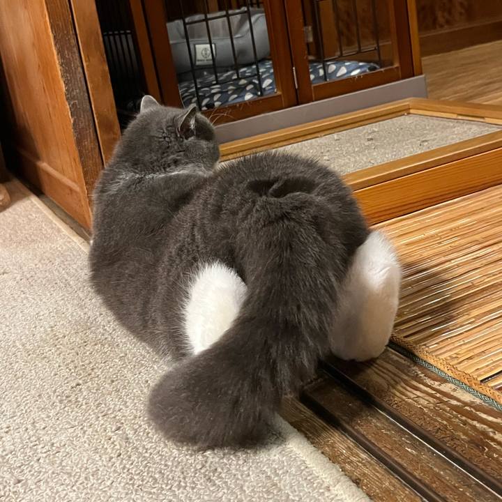 C521f56c 8374 4aee b947 010813b1801a 1751973116358