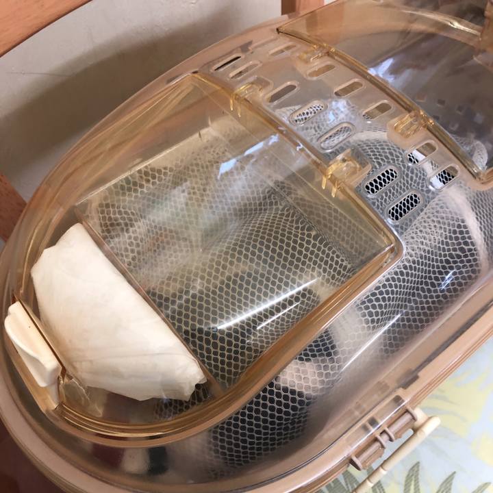 C5222297 9051 45b6 90d1 efc2412b62a9 1567581407788