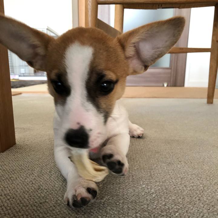 C52248ea d8cf 4323 9318 7c0b3f2447e4 1547970250194