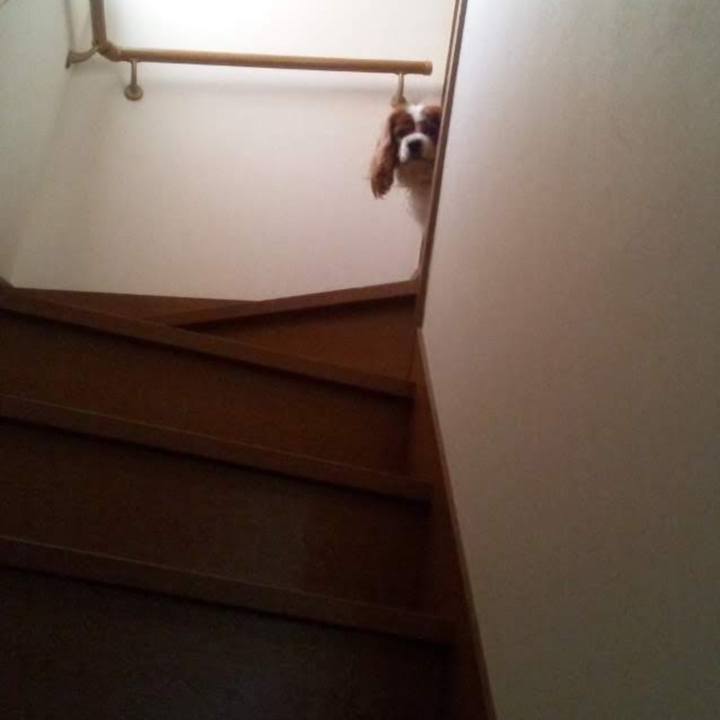 C52255e8 4883 47ae a07d bf0e21a08a53 1672260842106