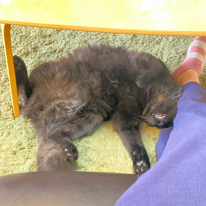 C5229142 092a 4110 bbf0 64249ce2646c 1718852154696