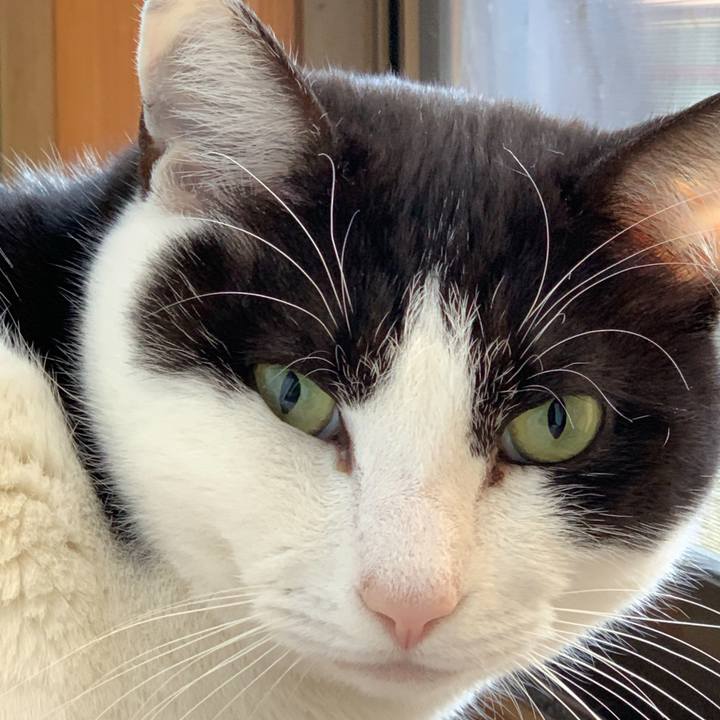 C522feb1 8358 4056 a323 5c6c8c17f4e3 1582938961468