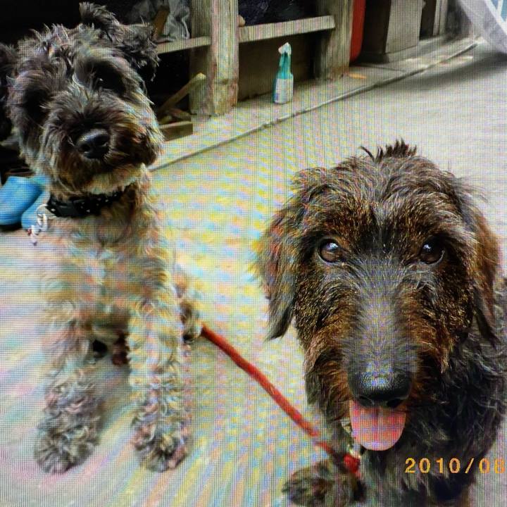 C52300ba b54e 4504 b8ac a0360465fd9f 1607508044341