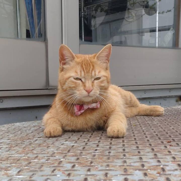 C52324f3 97f2 476e 98cf 9bcce425214a 1744340045198