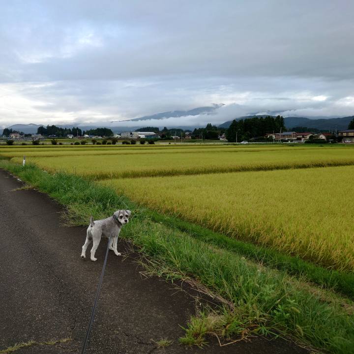 C5232e9b ad5a 4aa0 92e1 0bb00f92d268 1757891144233