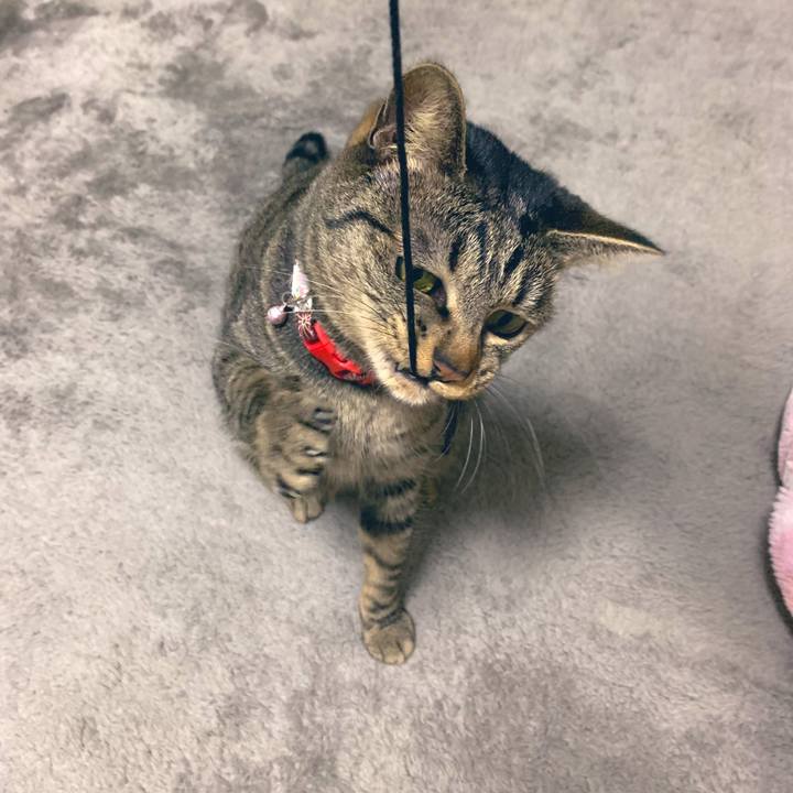 C5232ea6 5eef 455c b2d1 c0b271b78437 1552045663486