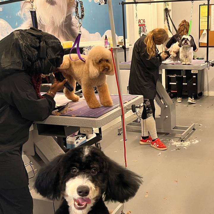 C5233fd4 0aac 4b69 975b 1ba9275540bc 1760779674103