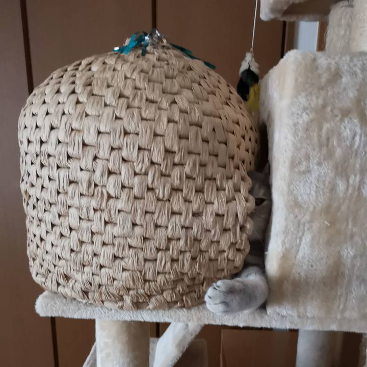 C5234051 59c4 4025 9dc7 b72cccd809e4 1561511084381