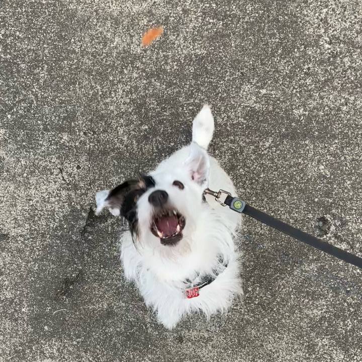 C523b557 a776 4dca a0b5 b4c7d697454b 1690844386749