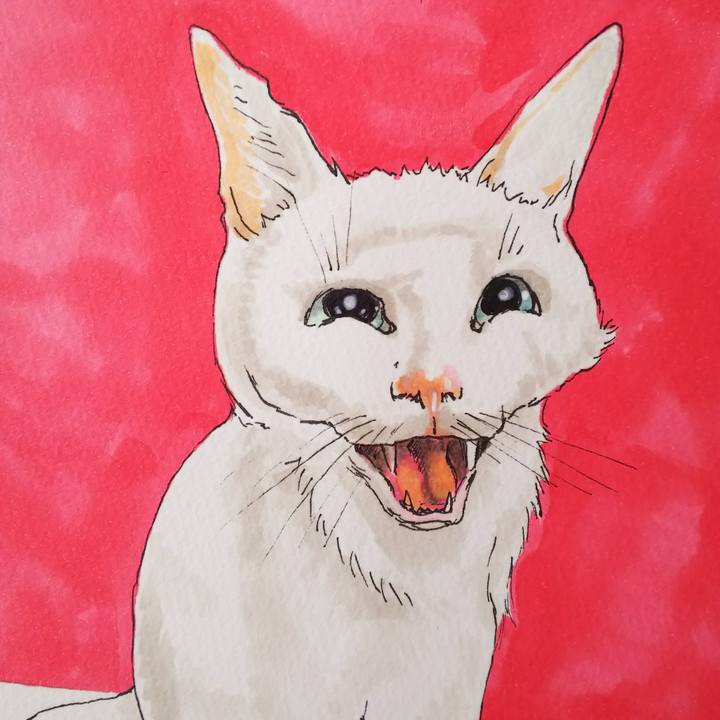 C523b7a8 fab2 43bb 8a9d 10ee34b3cc60 1548562944675