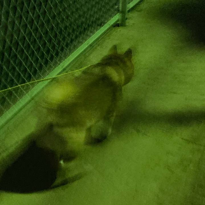 C523cec7 1fb6 4919 a539 611f3a78cbd0 1641804435140