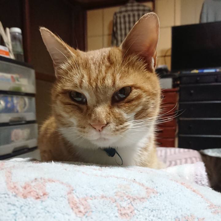 C523f6b8 30a9 4dec a981 47d3873d5361 1605212885152