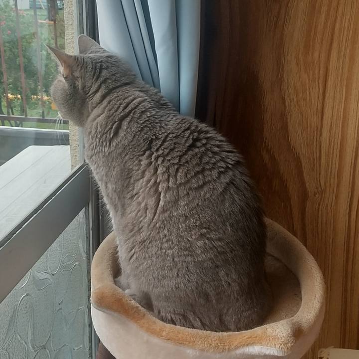 C5241fe5 c373 4614 93d6 6eb56cac5b1d 1665184217749