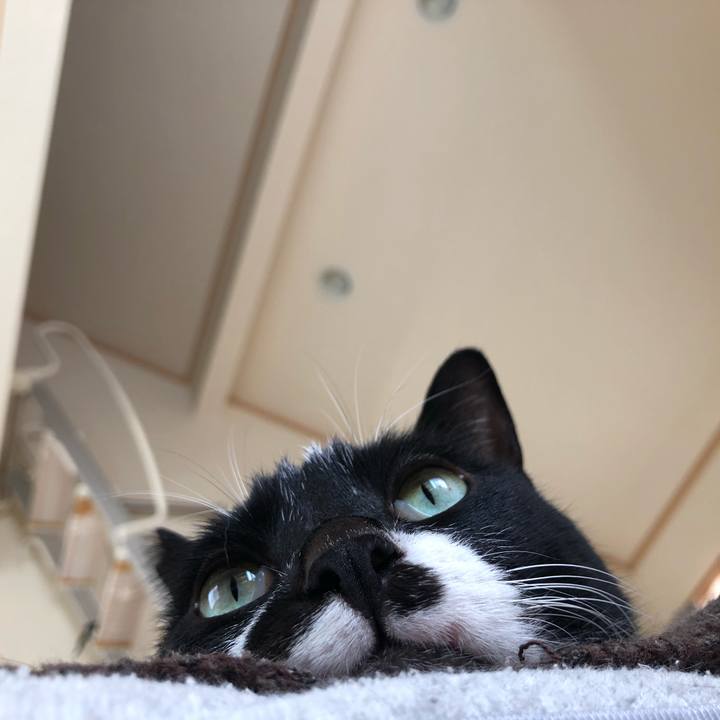 C52434be f67c 424b a927 f87422d94421 1621065710050