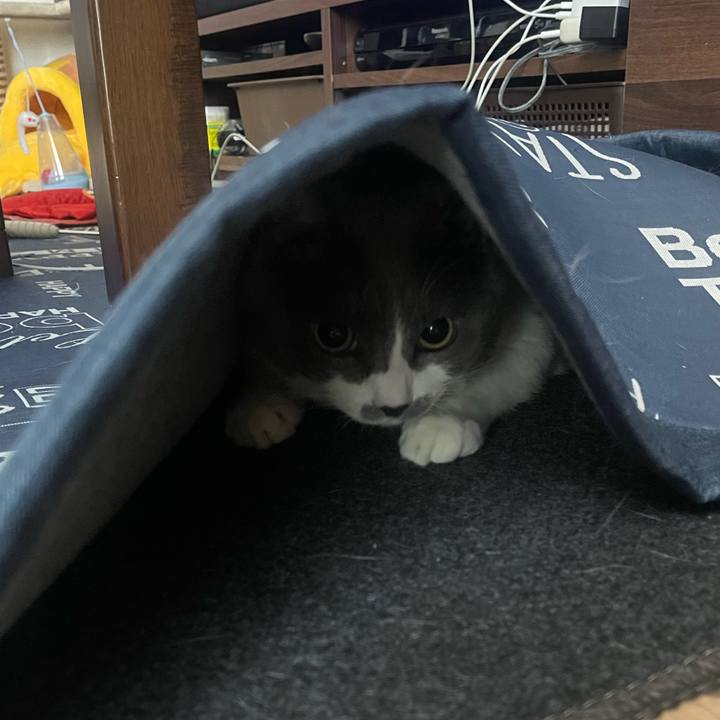 C5243b96 a2a6 4b16 b1fc 9e0893d48625 1723942217312