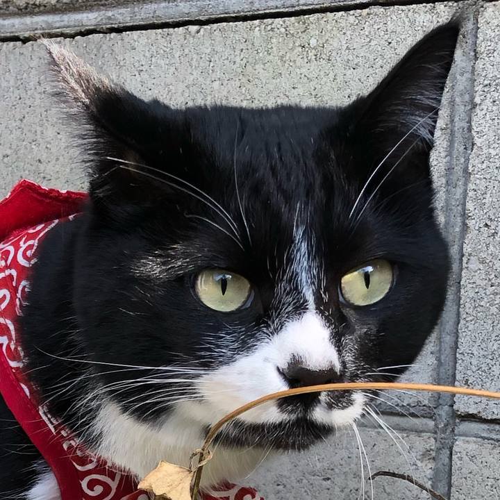 C524525d 218c 4c68 976b 237115b14fdb 1583551321030