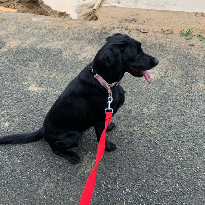 C5245472 3af7 4249 84d4 a9152e082401 1593850978777