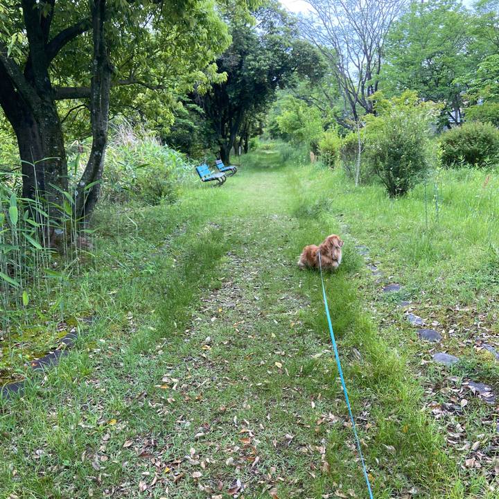 C5246db2 bba1 43f3 bc7a 6f939b333381 1652572265896