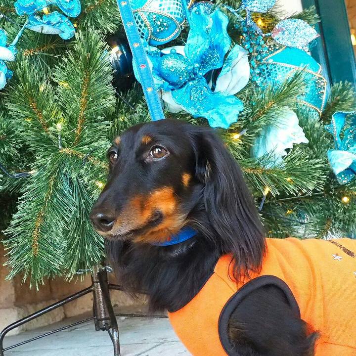 C524a9c4 c80e 4570 9d3f aee1cbc284af 1511411126788